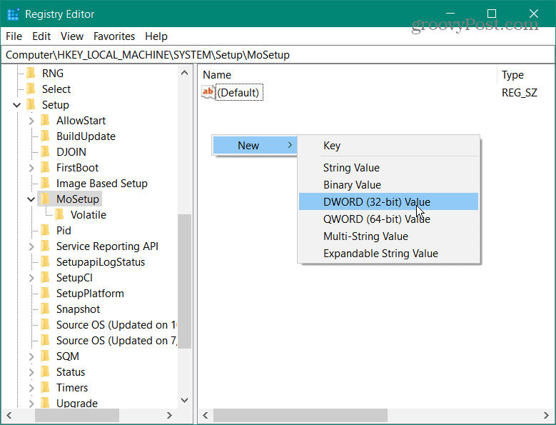 registry path mosetup