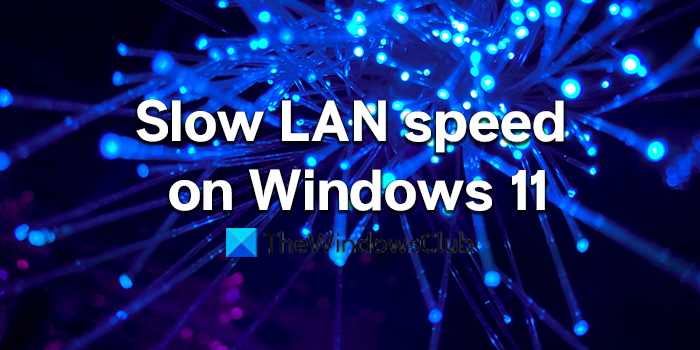 Fix Slow LAN speed on Windows 11/10 computer – TWCN Tech News