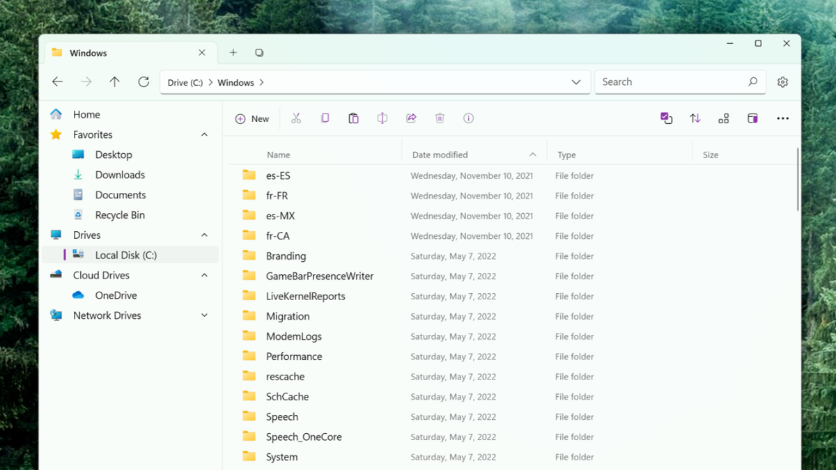 Modern file explorer 'Files' receives update to version 2.3 on Windows 11 – Windows Central