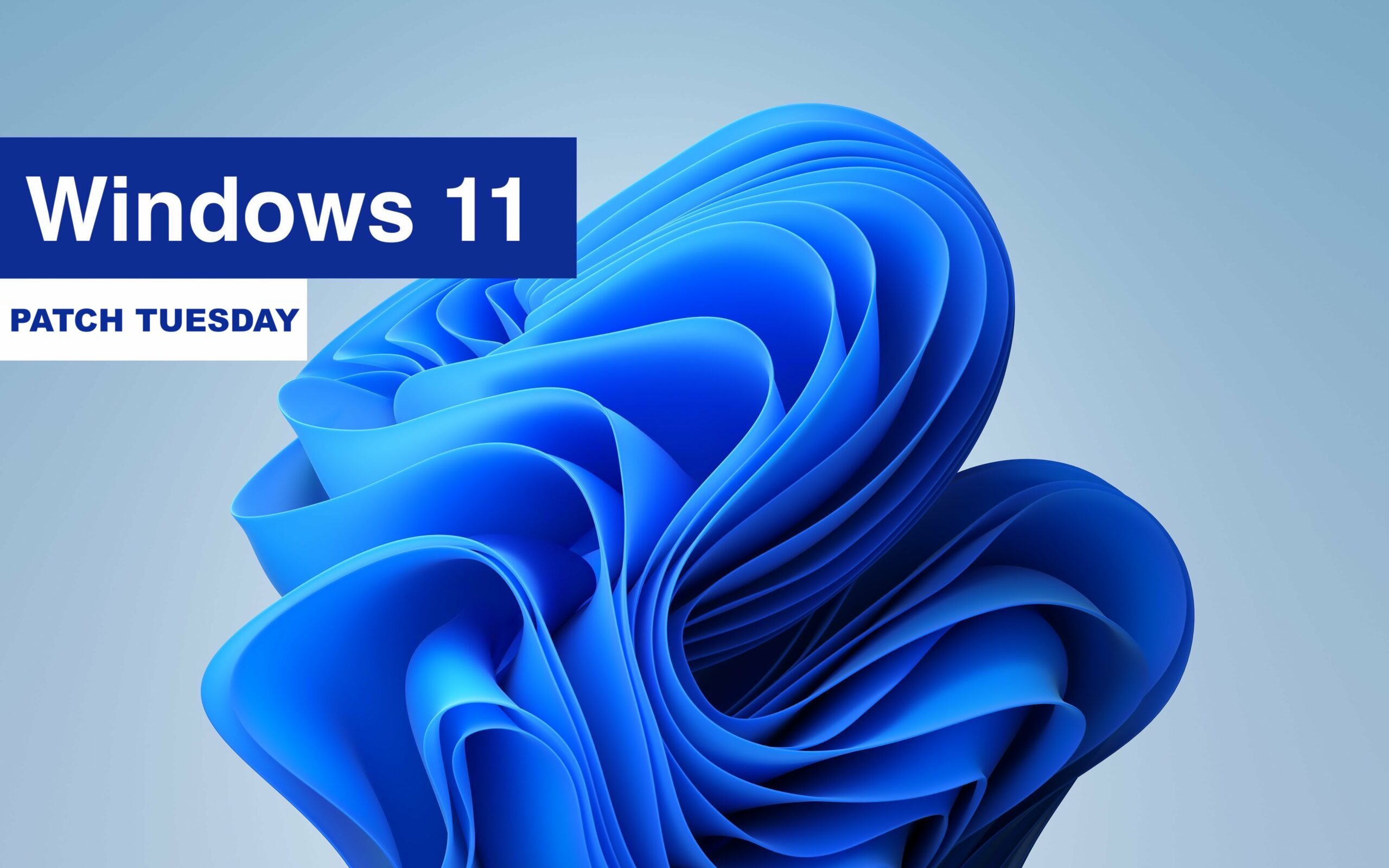 Patch Tuesday Updates Are Live for Windows 11 and Supported Versions of Windows 10 – Wccftech